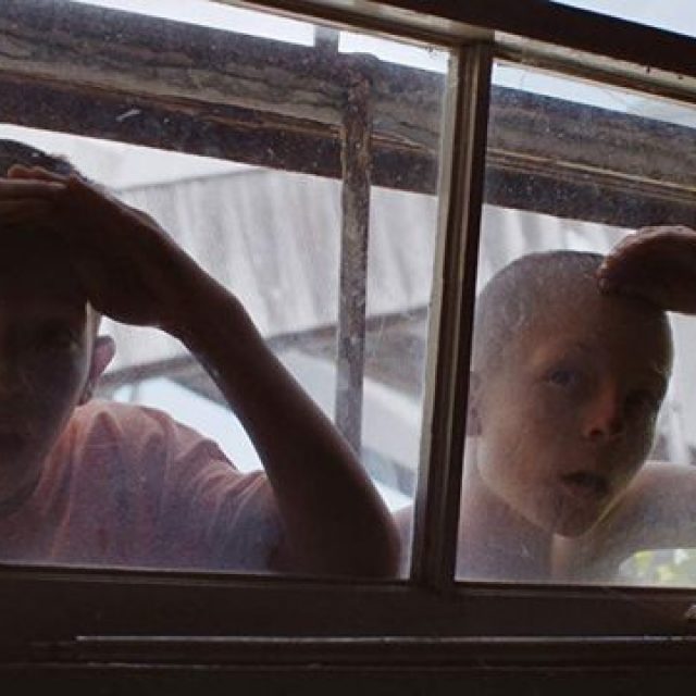 Bucharest Short Film Festival 2019 începe pe 14 decembrie. Primele titluri anunțate